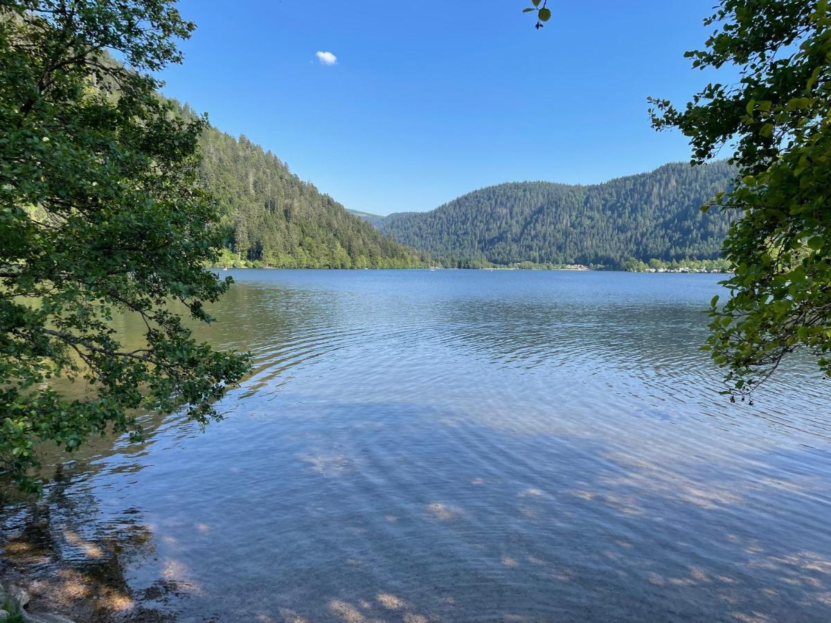 Le Chalet Blanc De Gerardmer Avec Spa Dış mekan fotoğraf